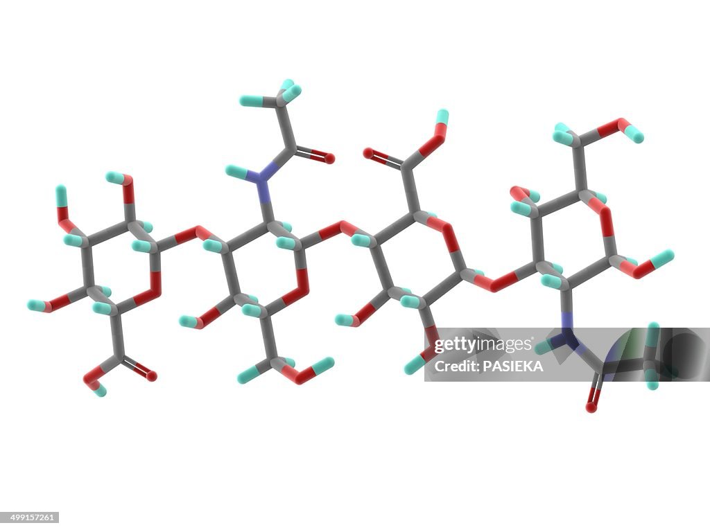 Hyaluronic acid molecule