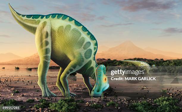stockillustraties, clipart, cartoons en iconen met artwork of a corythosaurus dinosaur - hadrosauridae