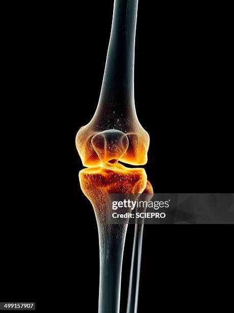 ilustrações, clipart, desenhos animados e ícones de human knee, artwork - rótula