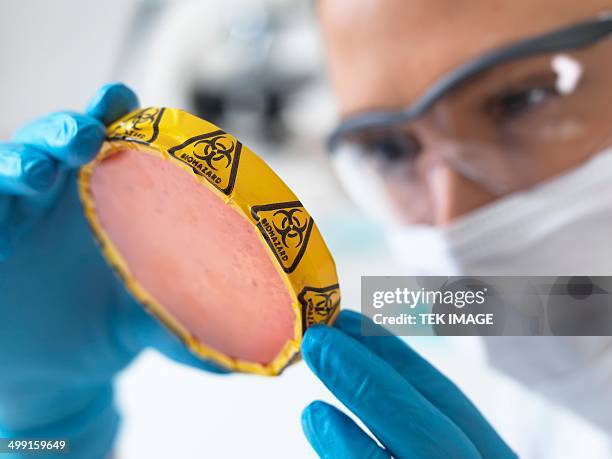 hazardous sample - biochemical weapon stock pictures, royalty-free photos & images