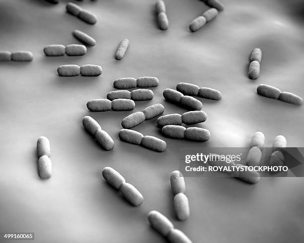 listeria bacteria, artwork - listeria monocytogenes stock illustrations