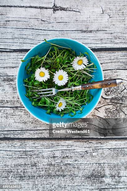bowl of garden cress salad and daisies (bellis perennis) on grey wooden table, view from above - ヒナギク ストックフォトと画像