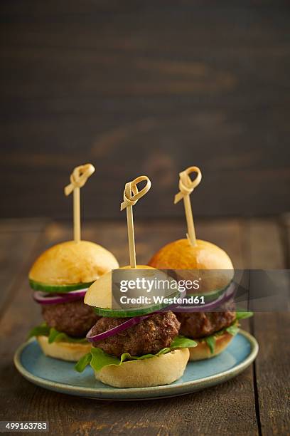 mini-burger with mincemeat, salad and red onions on plate - little burger stock pictures, royalty-free photos & images