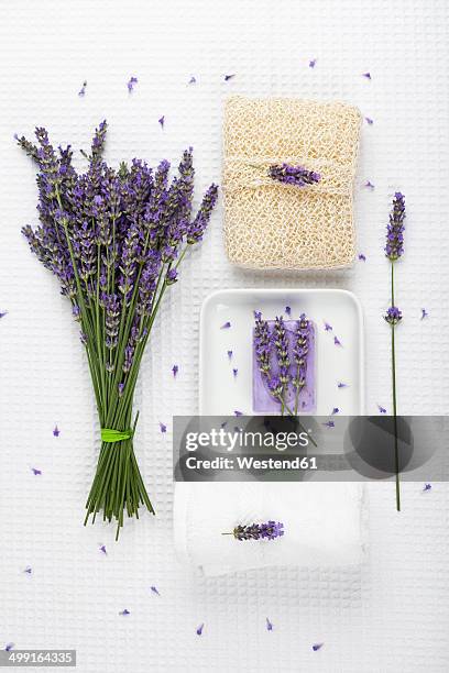 lavender (lavendula), white towel, lavender soap on soap basket and cactus fibre sponge - lavender stock pictures, royalty-free photos & images