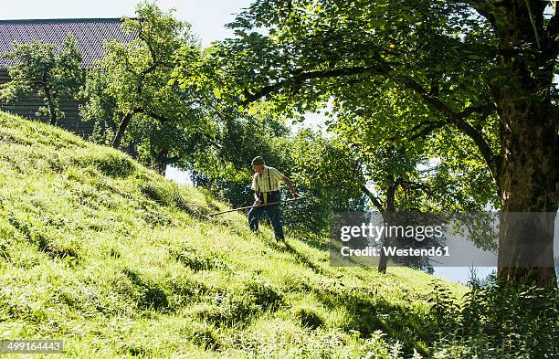 austria, salzburg state, flachau, senior farmer in summer meadow - gras sense stock-fotos und bilder