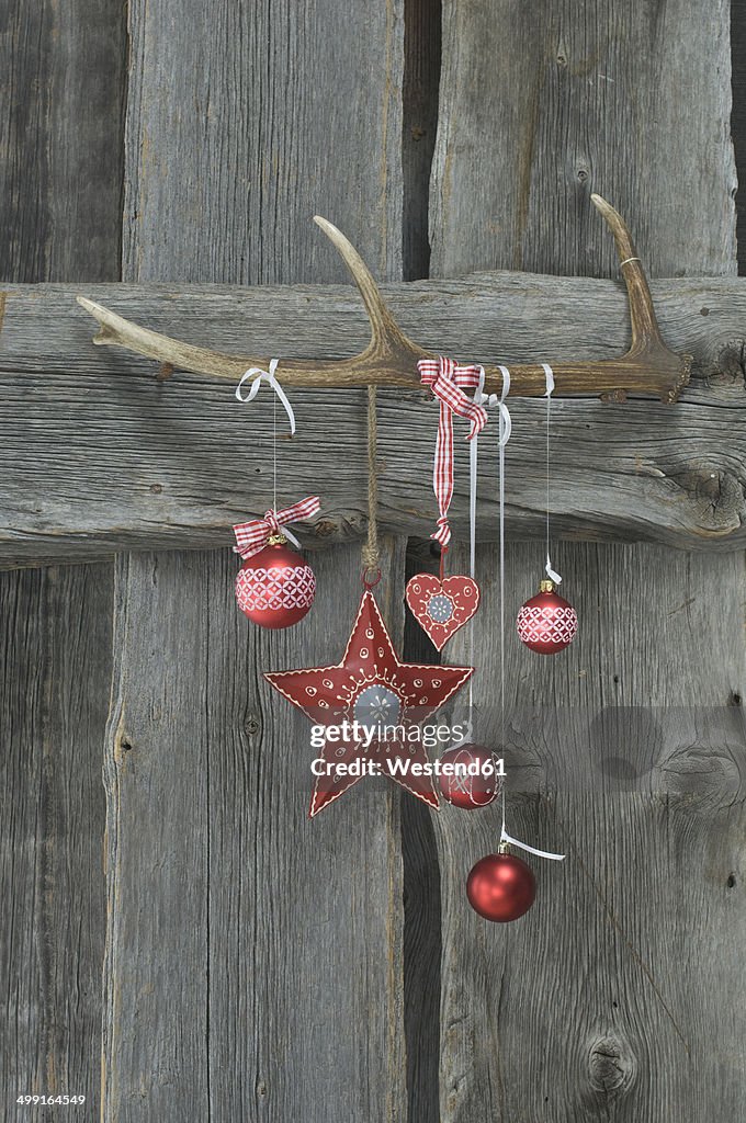 Deer antler and Christmas decoration on wooden wall