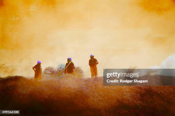 fire fighters at a bush fire - cape town fire stock pictures, royalty-free photos & images