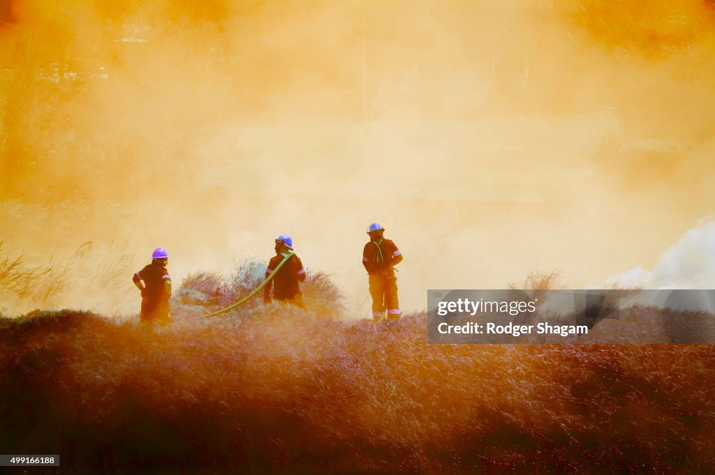 Fire fighters at a bush fire