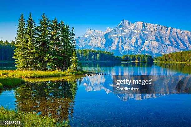 see two jack lake, dem mount rushmore national monument, banff-nationalpark kanada - jack pine tree stock-fotos und bilder