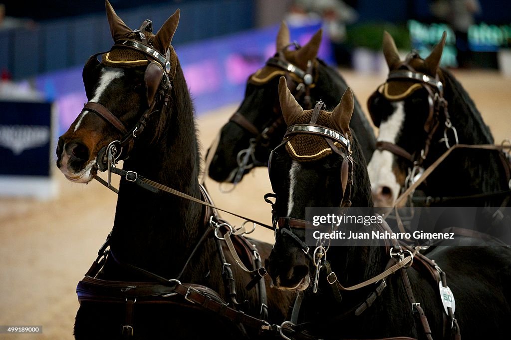 Madrid Horse Week 2015 - Day 4