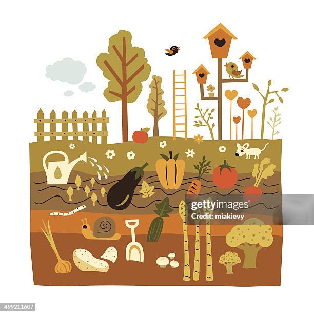 gardening - garden snail stock illustrations