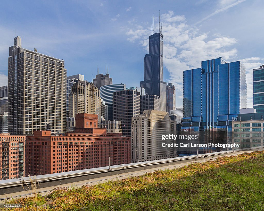 Chicago  Skyline