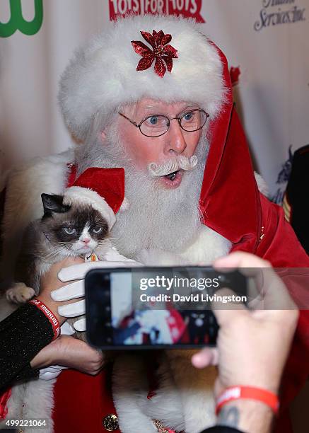 Grumpy Cat and Santa Claus attend the 84th Annual Hollywood Christmas Parade on November 29, 2015 in Hollywood, California.