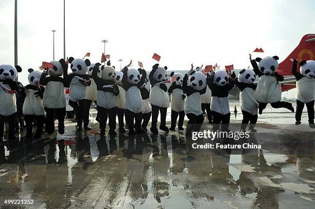 Staff celebrate the arrival of the ARJ21 jet at the airport on November 29, 2015 in Chengdu, China. It is the first ARJ, a regional jet made by...