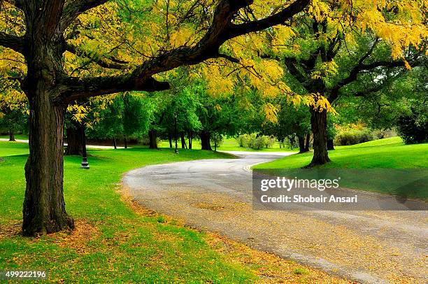 autumn colors in upstate new york - albany new york stock pictures, royalty-free photos & images