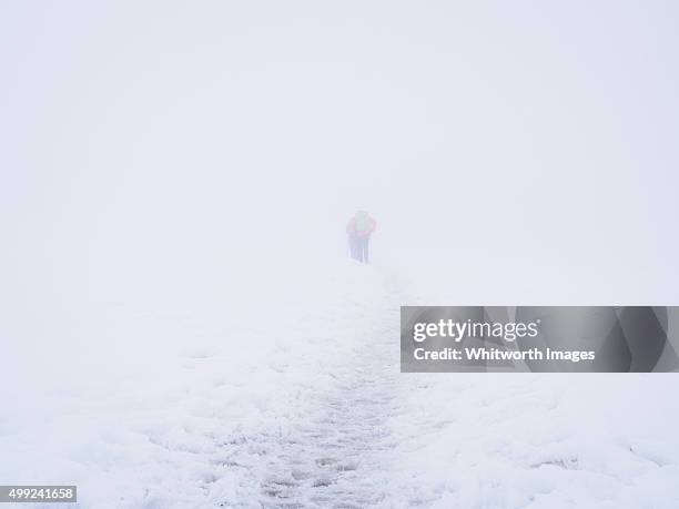 trekking in white-out snow conditions near annapurna base camp, nepal - correction fluid stock pictures, royalty-free photos & images