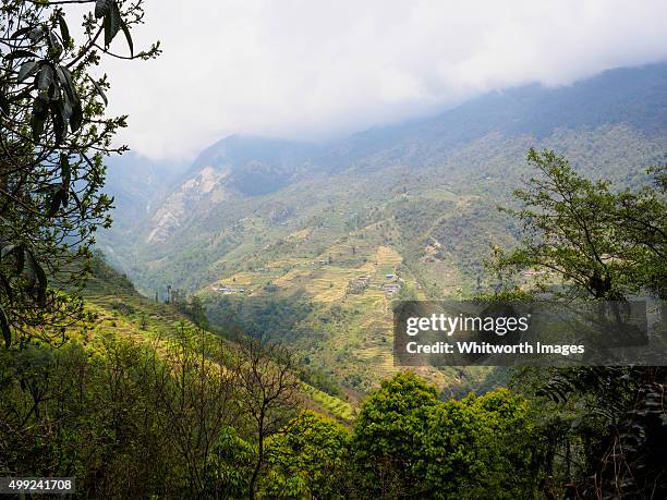 Sendo immagini e fotografie stock ad alta risoluzione - Alamy