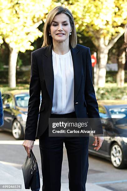 Queen Letizia of Spain attends Nutrigenomics Seminar at the CSIC Institute on November 30, 2015 in Madrid, Spain.