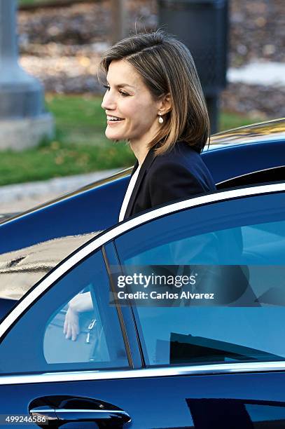 Queen Letizia of Spain attends Nutrigenomics Seminar at the CSIC Institute on November 30, 2015 in Madrid, Spain.