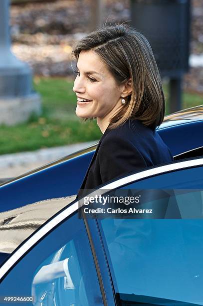 Queen Letizia of Spain attends Nutrigenomics Seminar at the CSIC Institute on November 30, 2015 in Madrid, Spain.