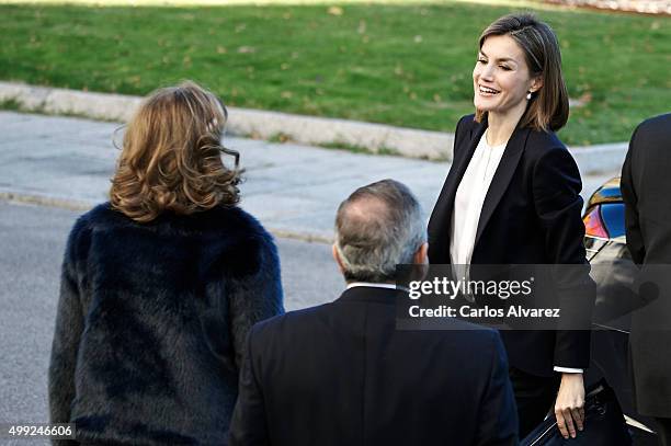 Queen Letizia of Spain attends Nutrigenomics Seminar at the CSIC Institute on November 30, 2015 in Madrid, Spain.