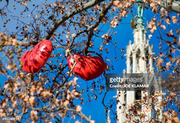 Hearts are fixed in a tree at the Christmas market in front of Vienna's City Hall on November 23, 2015 after Vienna officially lit up the city for...