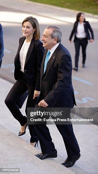 Queen Letizia of Spain attends Nutrigenomica Seminar at Consejo Superior de Investigaciones Cientificas on November 30, 2015 in Madrid, Spain.