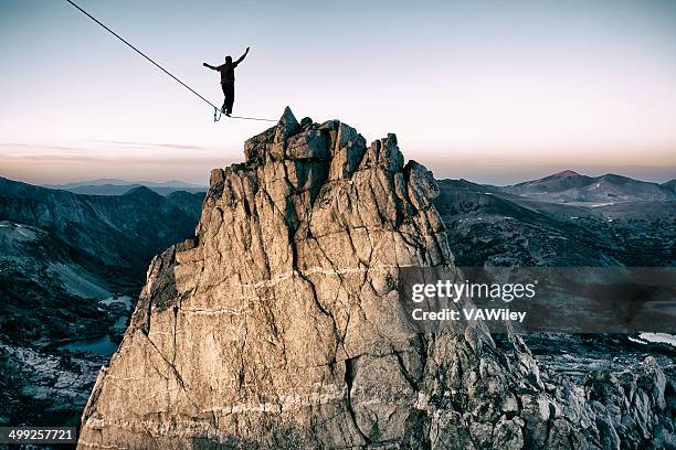 bold - moed stockfoto's en -beelden