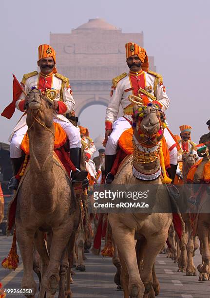 camel régiment - india gate photos et images de collection