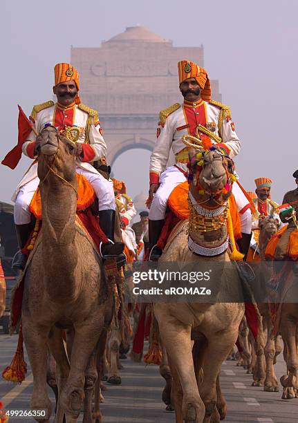 camel regiment - india gate stock pictures, royalty-free photos & images