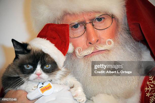 Grumpy Cat posese with Santa Claus at the 84th Annual Hollywood Christmas Parade held at The Roosevelt Hotel on November 29, 2015 in Hollywood,...