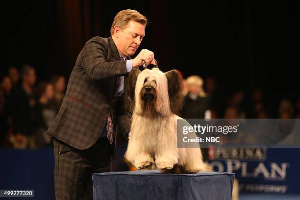 Pictured: Charlie the Skye Terrier, 2015 Best in Show --