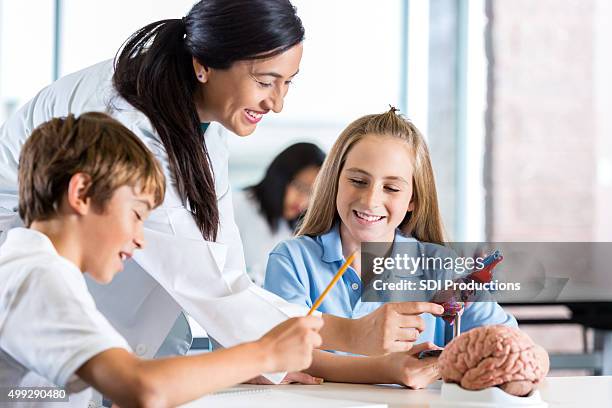 junior high school students studying anatomy in science class - junior girl models stock pictures, royalty-free photos & images