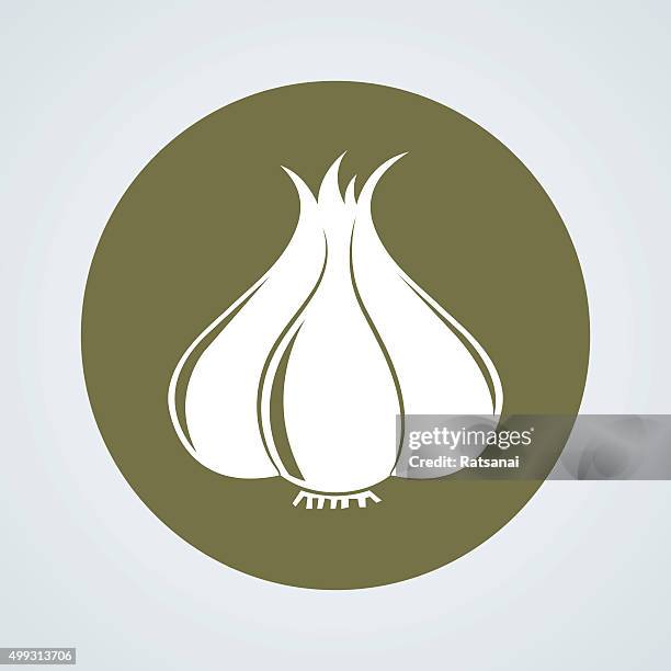 garlic icon - garlic stock illustrations