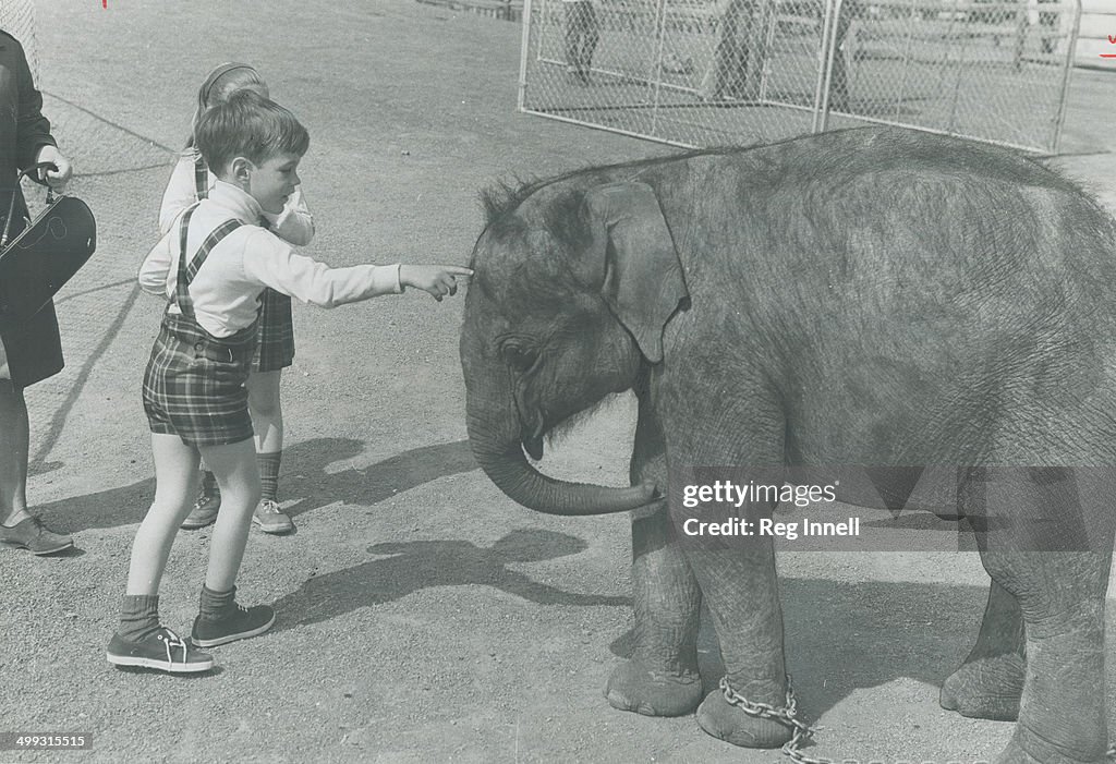 Children's zoo in safari; a corner of imitation Africa in La Ronde; is pretty routine for adults but...