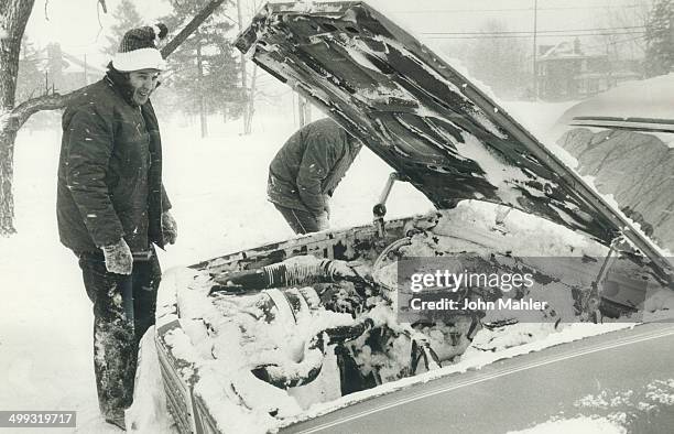 Dig Stfd 125 Hiding Behind Car Stock Photos, High-Res Pictures, and Images ...