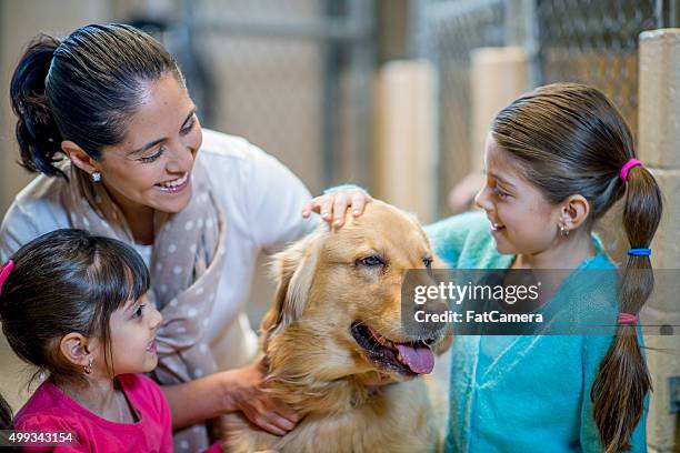 l'adozione di una famiglia di animali da gbp - adoption foto e immagini stock