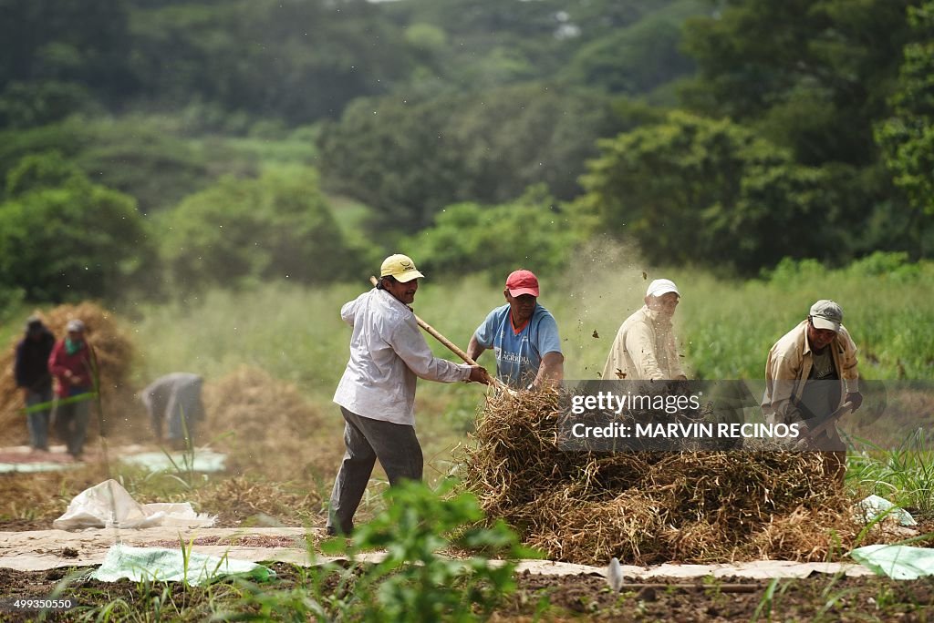 EL SALVADOR-CLIMATE-CHANGE-BEANS