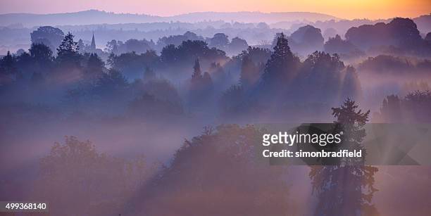 dawn mist in the surrey hills - surrey england stock pictures, royalty-free photos & images