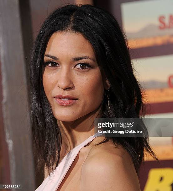 Actress Julia Jones arrives at the premiere of Netflix's "The Ridiculous 6" at AMC Universal City Walk on November 30, 2015 in Universal City,...