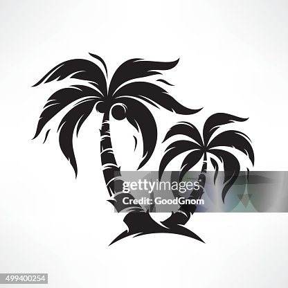 Palm tree Palm tree