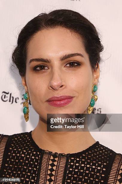 Desiree Akhavan attends the 25th Annual Gotham Independent Film Awards at Cipriani Wall Street on November 30, 2015 in New York City.