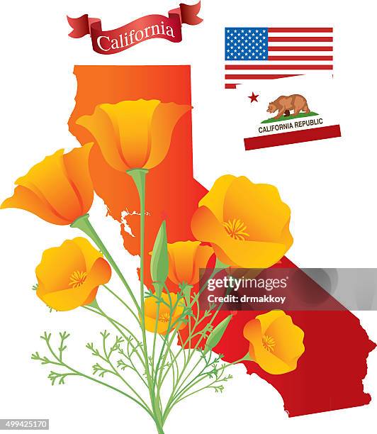 california - california golden poppy stock illustrations
