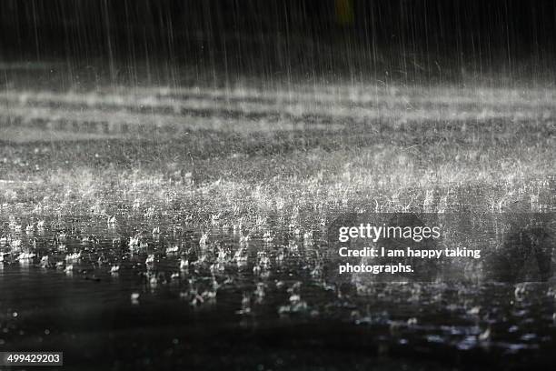 heavy rain. - lluvia torrencial fotografías e imágenes de stock