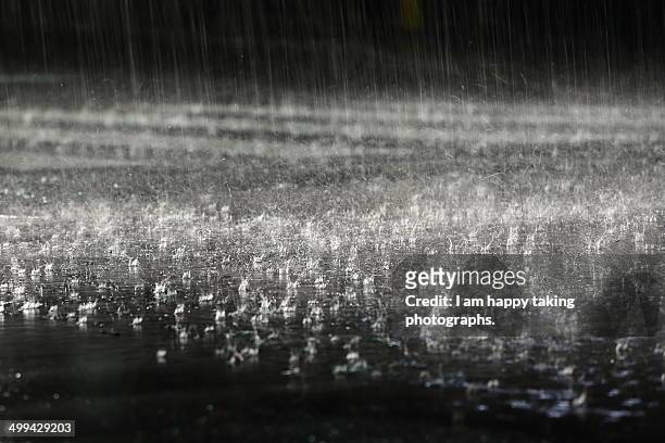 heavy rain. - torrential rain stock pictures, royalty-free photos & images