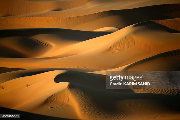 General view shows dunes in the Liwa Oasis, southwest of the Emirati capital, Abu Dhabi, on December 1, 2015. / AFP / KARIM SAHIB