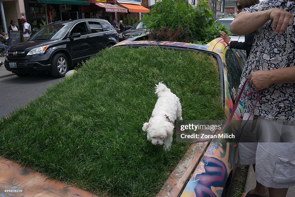 Urban Gardening