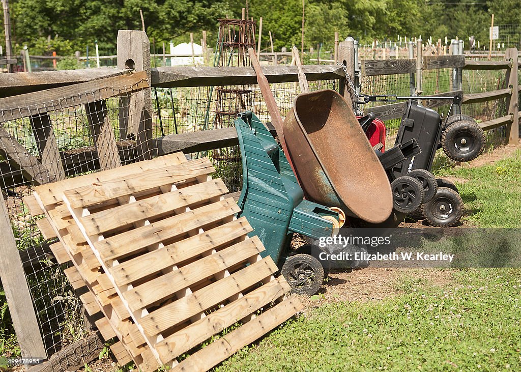 Urban Gardening