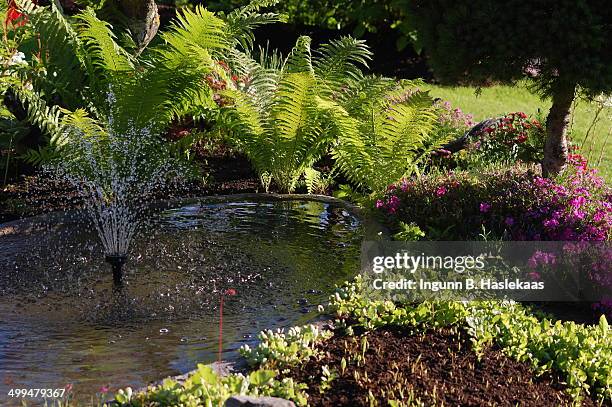 Waterspread in lovely suburban garden