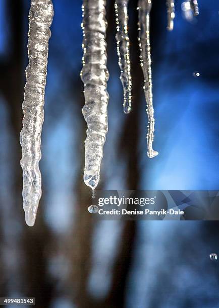 macro nature photography - icicle macro stock pictures, royalty-free photos & images